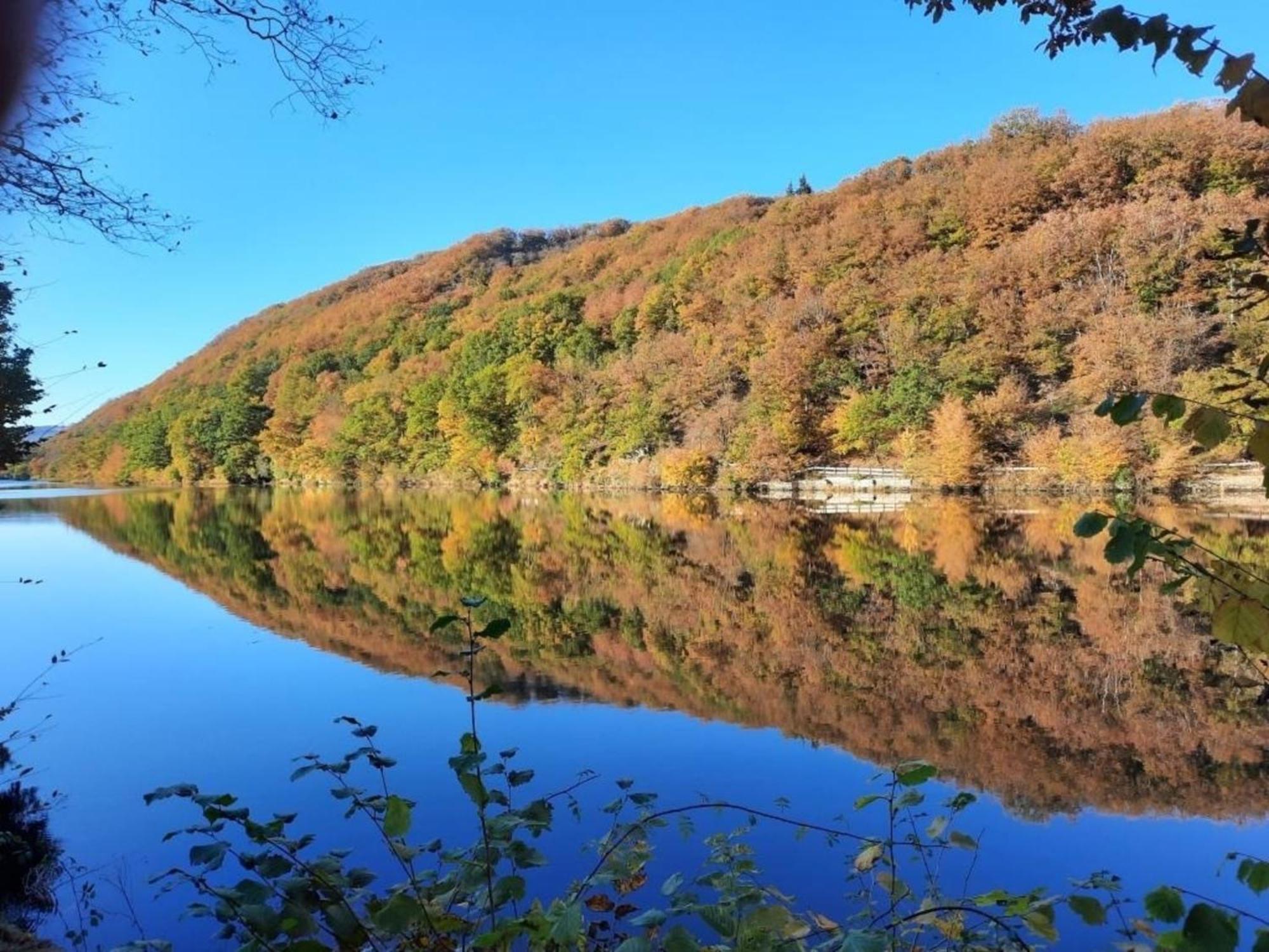 Ferienhaus &#039Freund Am See&#039 1 هيمباخ المظهر الخارجي الصورة